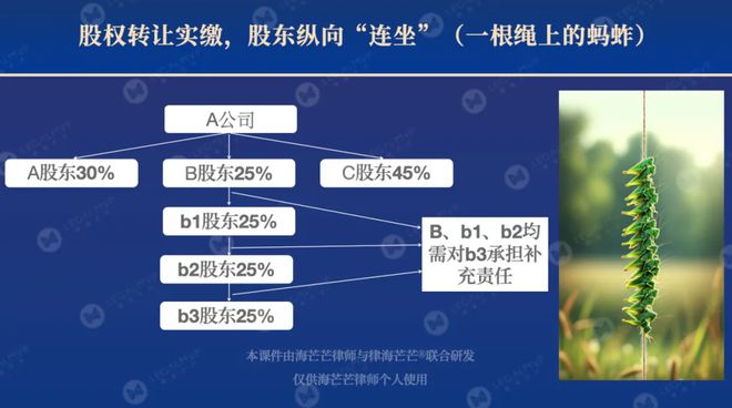 企业家必须知道的新《公司法》十大影响与应对方案-LegalMVP课件模板